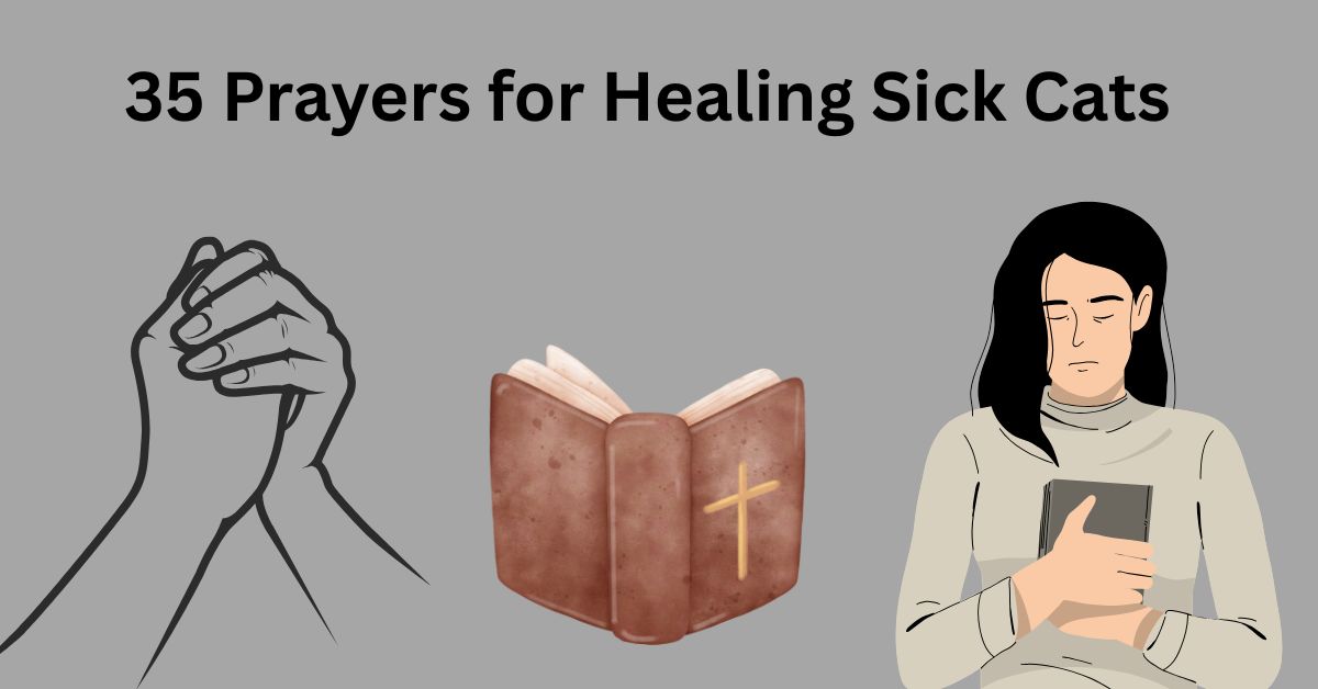 35 Prayers for Healing Sick Cats