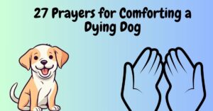 27 Prayers for Comforting a Dying Dog