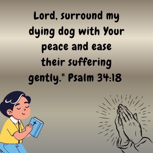 Prayers for Healing and Hope
